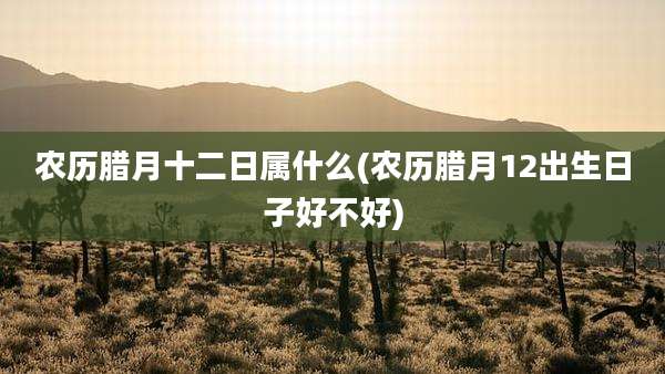 农历腊月十二日属什么(农历腊月12出生日子好不好)