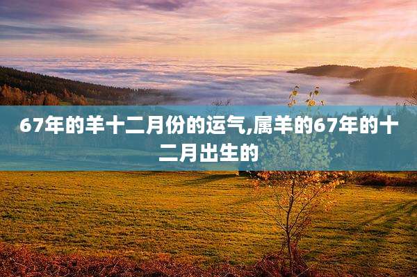 67年的羊十二月份的运气,属羊的67年的十二月出生的