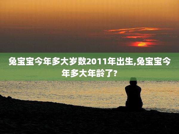 兔宝宝今年多大岁数2011年出生,兔宝宝今年多大年龄了?