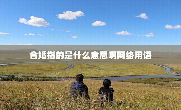 合婚指的是什么意思啊网络用语