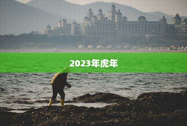 2023年虎年