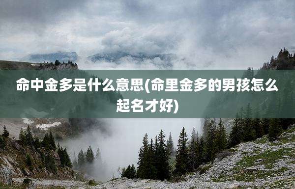 命中金多是什么意思(命里金多的男孩怎么起名才好)
