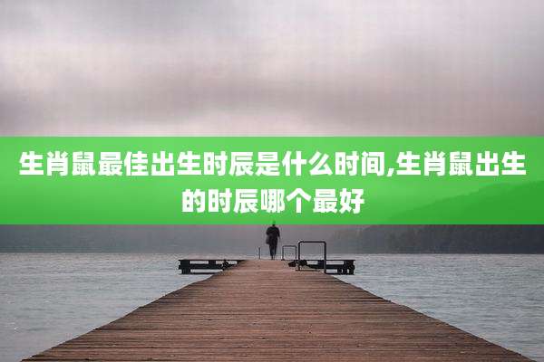 生肖鼠最佳出生时辰是什么时间,生肖鼠出生的时辰哪个最好