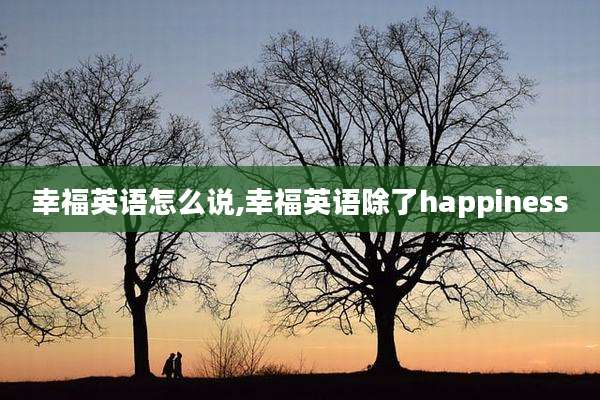 幸福英语怎么说,幸福英语除了happiness
