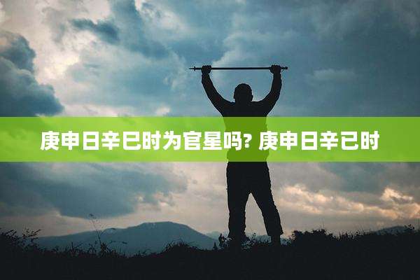 庚申日辛巳时为官星吗? 庚申日辛已时