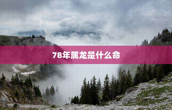 78年属龙是什么命