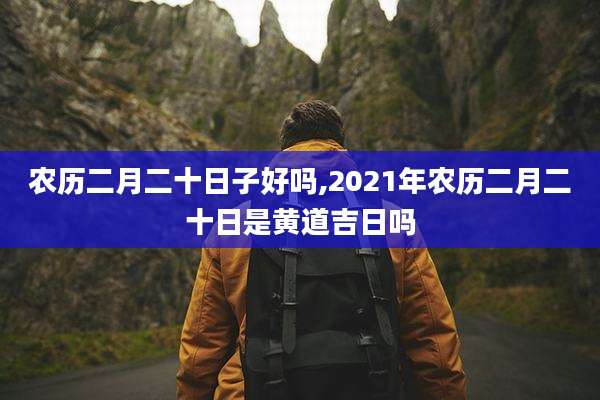 农历二月二十日子好吗,2021年农历二月二十日是黄道吉日吗