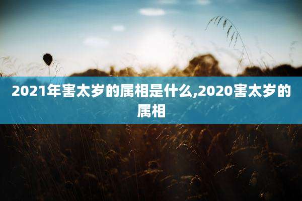 2021年害太岁的属相是什么,2020害太岁的属相