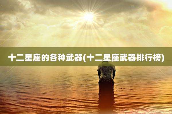 十二星座的各种武器(十二星座武器排行榜)