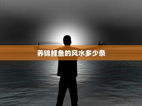 养锦鲤鱼的风水多少条