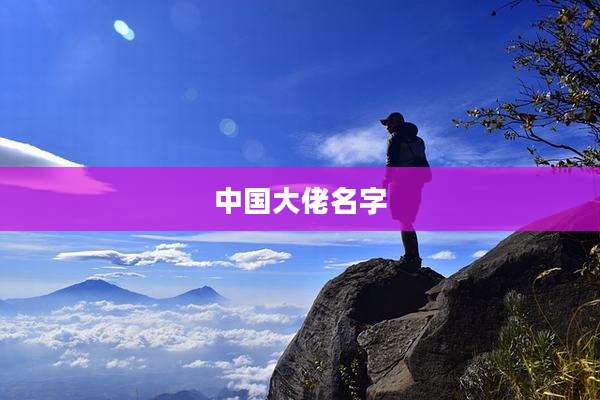 中国大佬名字