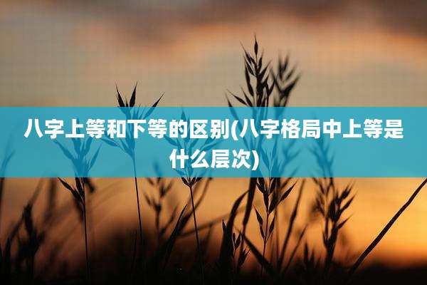 八字上等和下等的区别(八字格局中上等是什么层次)