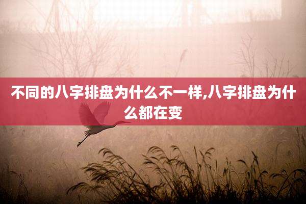 不同的八字排盘为什么不一样,八字排盘为什么都在变