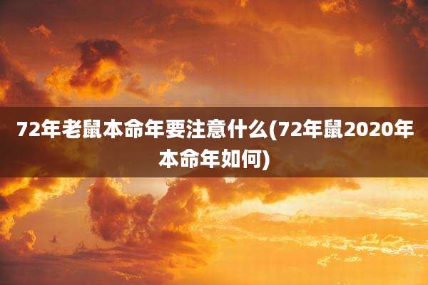 72年老鼠本命年要注意什么(72年鼠2020年本命年如何)