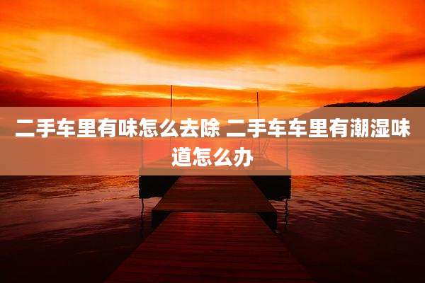 二手车里有味怎么去除 二手车车里有潮湿味道怎么办
