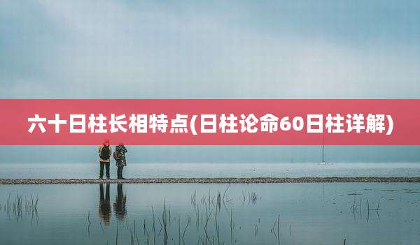六十日柱长相特点(日柱论命60日柱详解)