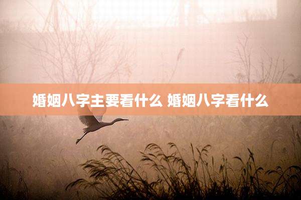婚姻八字主要看什么 婚姻八字看什么