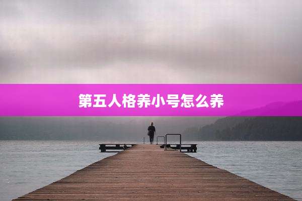 第五人格养小号怎么养