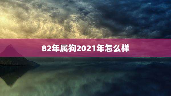82年属狗2021年怎么样