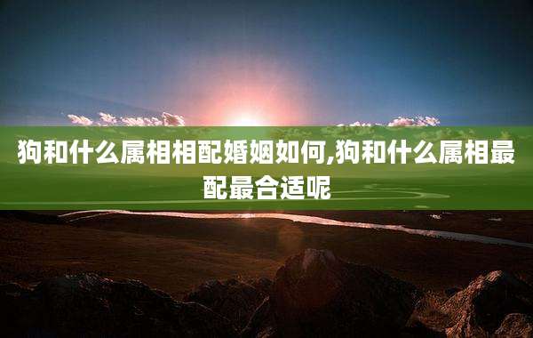 狗和什么属相相配婚姻如何,狗和什么属相最配最合适呢