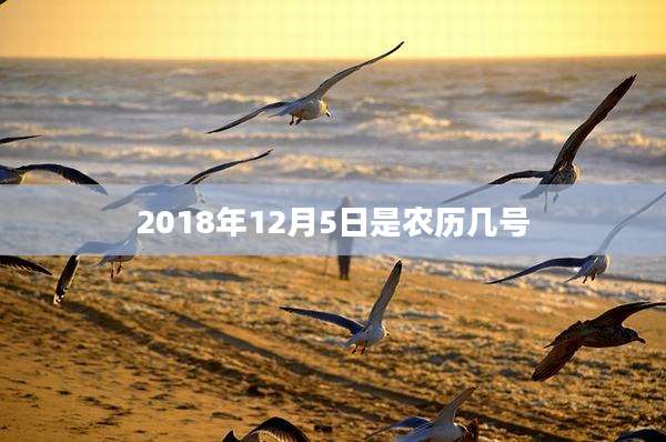 2018年12月5日是农历几号