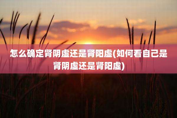 怎么确定肾阴虚还是肾阳虚(如何看自己是肾阴虚还是肾阳虚)
