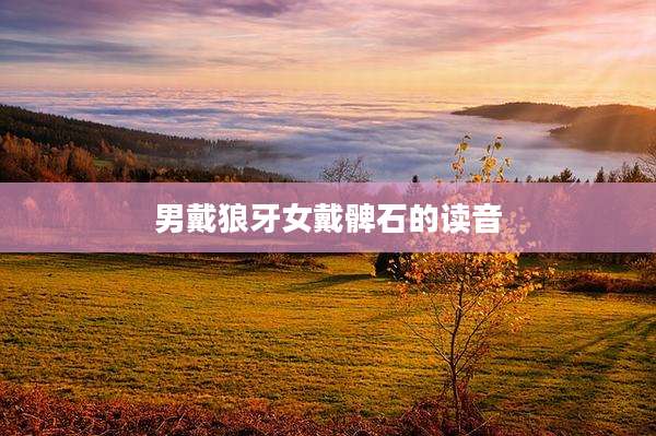 男戴狼牙女戴髀石的读音