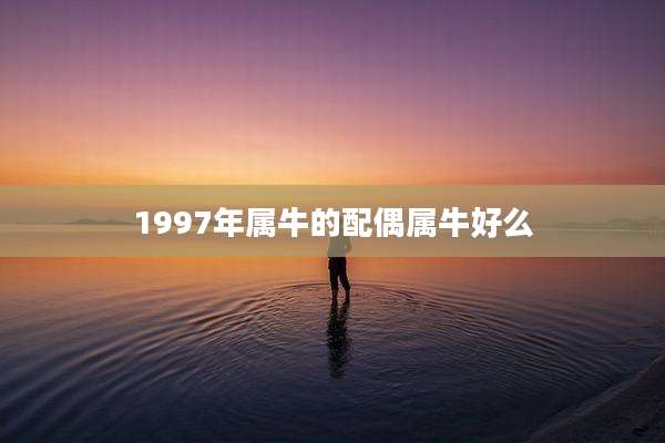 1997年属牛的配偶属牛好么