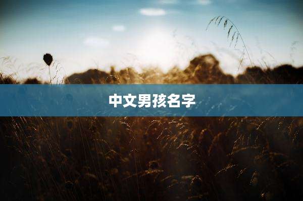 中文男孩名字