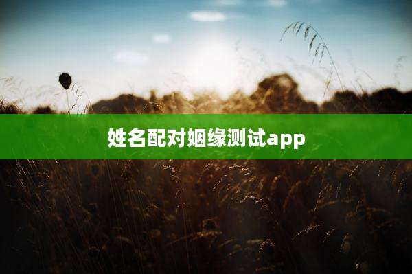 姓名配对姻缘测试app