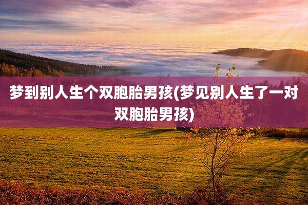 梦到别人生个双胞胎男孩(梦见别人生了一对双胞胎男孩)