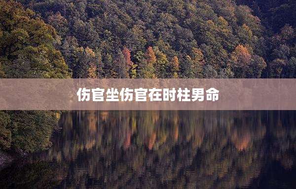 伤官坐伤官在时柱男命