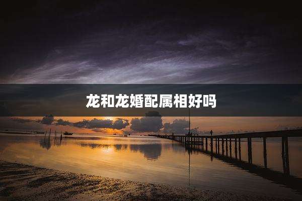 龙和龙婚配属相好吗