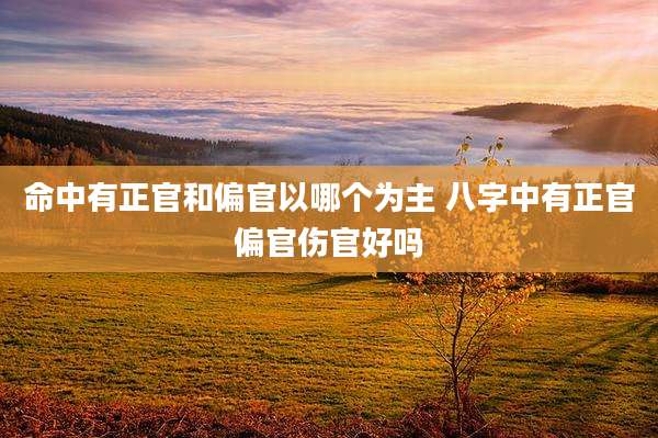 命中有正官和偏官以哪个为主 八字中有正官偏官伤官好吗