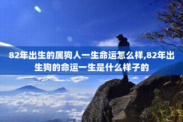 82年出生的属狗人一生命运怎么样,82年出生狗的命运一生是什么样子的