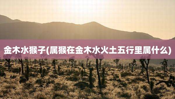 金木水猴子(属猴在金木水火土五行里属什么)