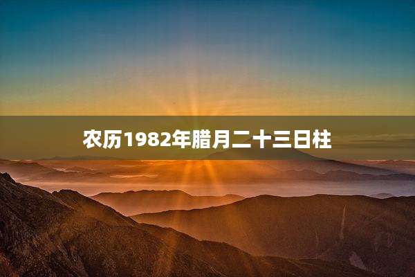农历1982年腊月二十三日柱