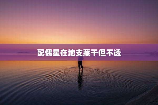 配偶星在地支藏干但不透