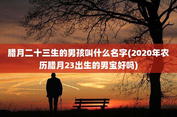 腊月二十三生的男孩叫什么名字(2020年农历腊月23出生的男宝好吗)