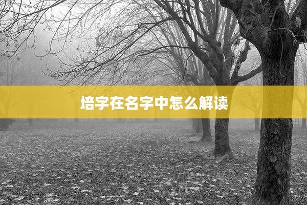 培字在名字中怎么解读