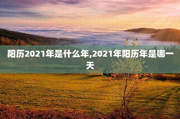 阳历2021年是什么年,2021年阳历年是哪一天