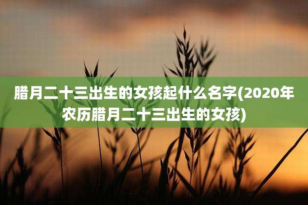 腊月二十三出生的女孩起什么名字(2020年农历腊月二十三出生的女孩)