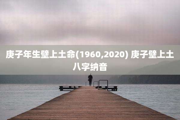 庚子年生壁上土命(1960,2020) 庚子壁上土八字纳音