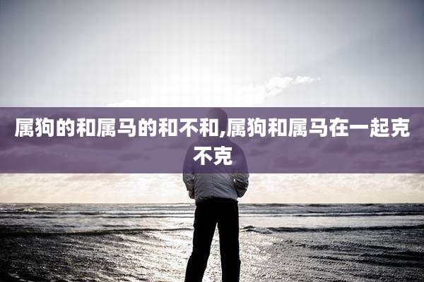 属狗的和属马的和不和,属狗和属马在一起克不克