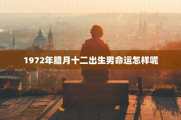 1972年腊月十二出生男命运怎样呢