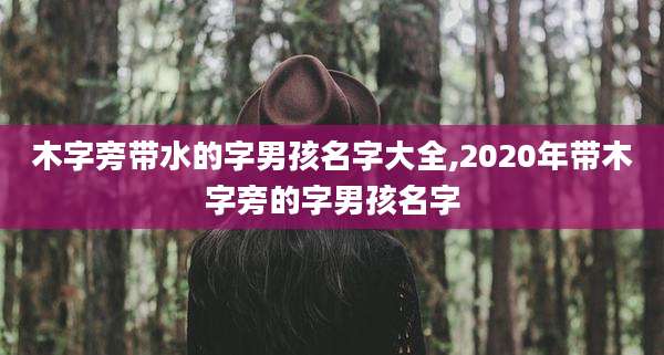 木字旁带水的字男孩名字大全,2020年带木字旁的字男孩名字