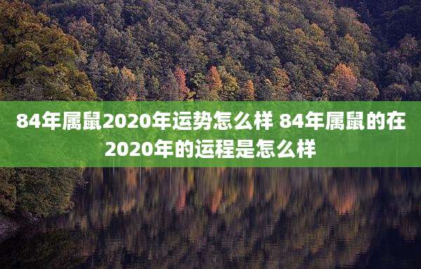 84年属鼠2020年运势怎么样 84年属鼠的在2020年的运程是怎么样