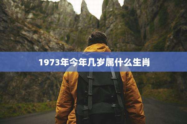 1973年今年几岁属什么生肖