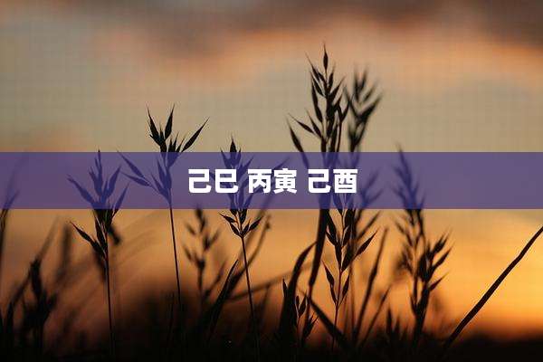 己巳 丙寅 己酉