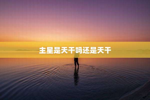 主星是天干吗还是天干